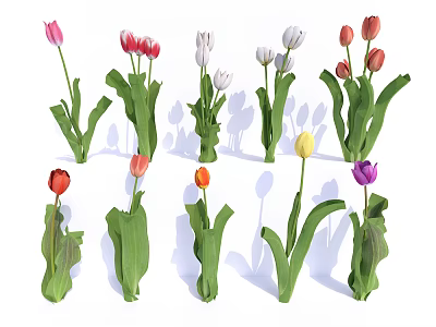 Colorful Tulip Flowers Arranged In Vase With Fresh Green Stems And Leaves 3d model