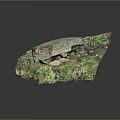 Wooden And Stone Landscape Model With Green Plants And Small Stones