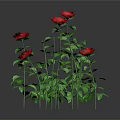 Blooming Red Roses With Green Stems And Leaves On Gray Background