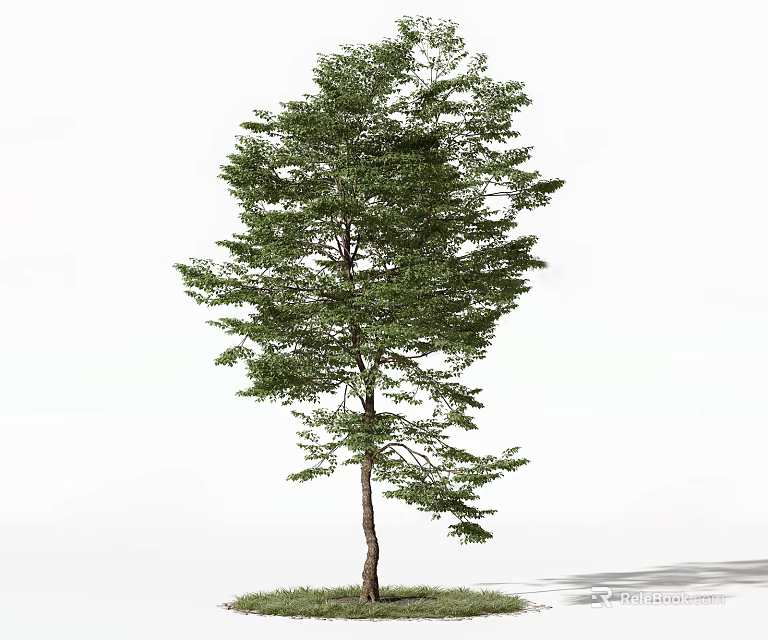 Tall Arbor with Lush Green Leaves and Brown Trunk on Green Grass 3d model 