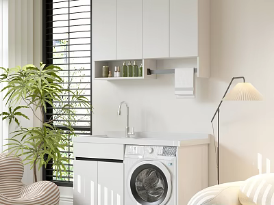 Home Balcony Interior With White Cabinets Washing Machine Sink Green Plant And Floor Lamp 3d model
