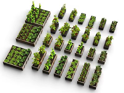 Green Plant Slum Building Waste Soil Style Green Potted Plant Future Doomsday Style Vegetable Planting 3d model