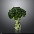 Fresh Green Broccoli with Vibrant Florets and Crisp Stalk Isolated on Dark Background