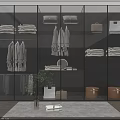 Modern Glass Door Wardrobe With Interior Storage Hanging Clothes And Folded Garments