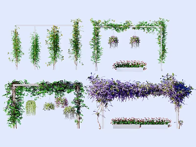 Various Decorative Vines Including Hanging Green And Purple Plants On Trellis Frames 3d model