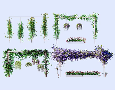 Various Decorative Vines Including Hanging Green And Purple Plants On Trellis Frames 3d model