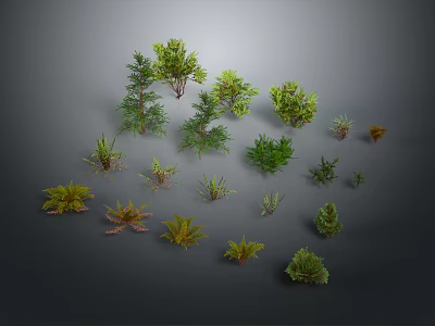 Various Green Plants with Different Shapes and Sizes for Garden or Indoor Use 3d model