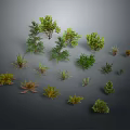 Various Green Plants with Different Shapes and Sizes for Garden or Indoor Use