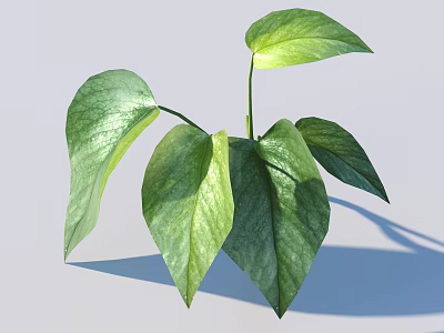 Beautiful Lush Green Plant With Large Vibrant Fresh Leaves For Indoor Decor 3d model