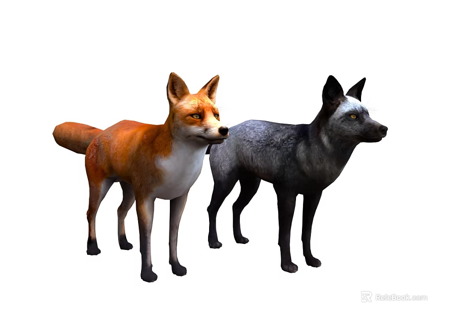Realistic Orange Fox and Gray Wolf Standing Together on White Background 3d model 