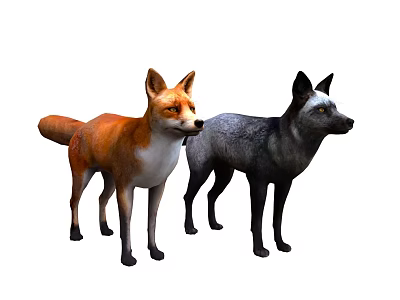 Realistic Orange Fox and Gray Wolf Standing Together on White Background 3d model