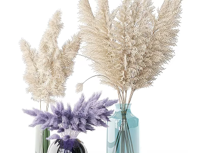 Decorative Ornament Combination With Colorful Vases Dried Beige Purple Plants For Home Decor 3d model