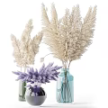 Decorative Ornament Combination With Colorful Vases Dried Beige Purple Plants For Home Decor