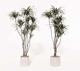 modern potted plant flowerpot plant green plant 3d model