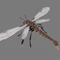 Detailed Dragonfly With White Transparent Wings Colorful Eyes And Brown Green Body In Flight