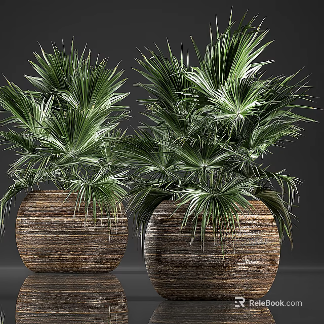 Lush Green Palm like Potted Bonsai Plants in Brown Woven Pots 3d model 