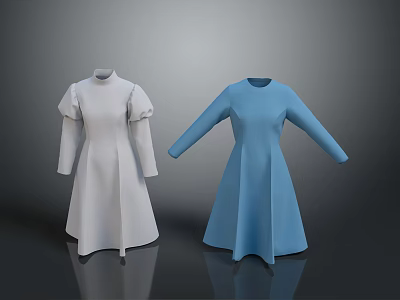 Elegant White And Blue Long Sleeve Dresses With Puffed Sleeves And Simple Design 3d model
