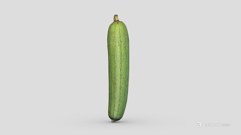 Fresh Green Long Slim Loofah Vegetable Isolated On Gray Background With Natural Texture 3d model 