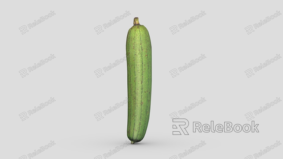 loofah cartoon loofah low poly loofah vegetables cartoon vegetables model