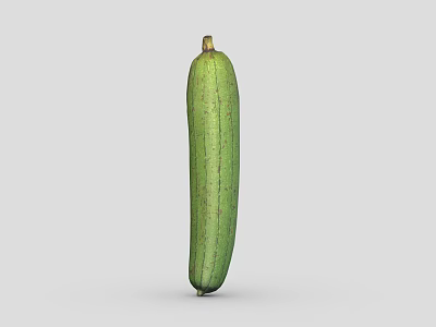 Fresh Green Long Slim Loofah Vegetable Isolated On Gray Background With Natural Texture 3d model