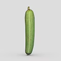 Fresh Green Long Slim Loofah Vegetable Isolated On Gray Background With Natural Texture