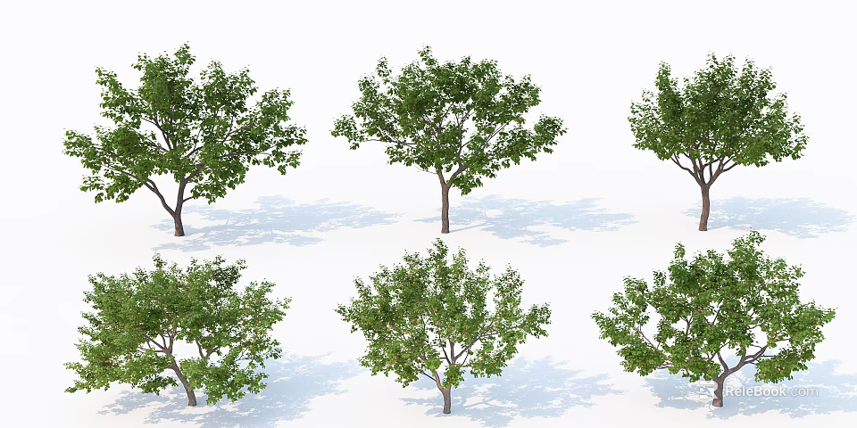 Multiple Arbor Trees With Green Leaves Brown Trunks And Shadows On White Background 3d model 