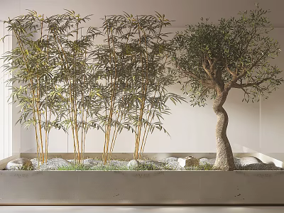 Lush Bamboo And Curved Olive Tree Bonsai In Rectangular Container With Pebbles And Grass 3d model