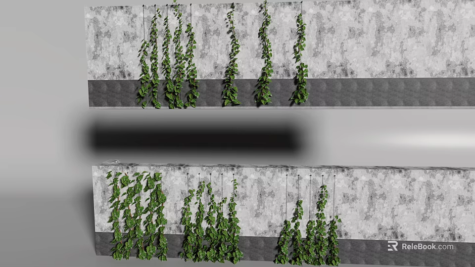 Lush Hanging Green Vines Decorating Grey Concrete Wall For Vertical Garden Design 3d model 