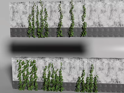 Lush Hanging Green Vines Decorating Grey Concrete Wall For Vertical Garden Design 3d model
