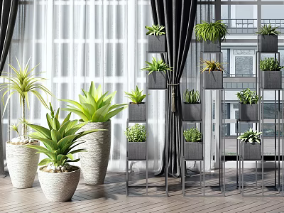 Indoor Bonsai Potted Plants with Metal Stands Various Greenery Window Curtains Wooden Floor 3d model