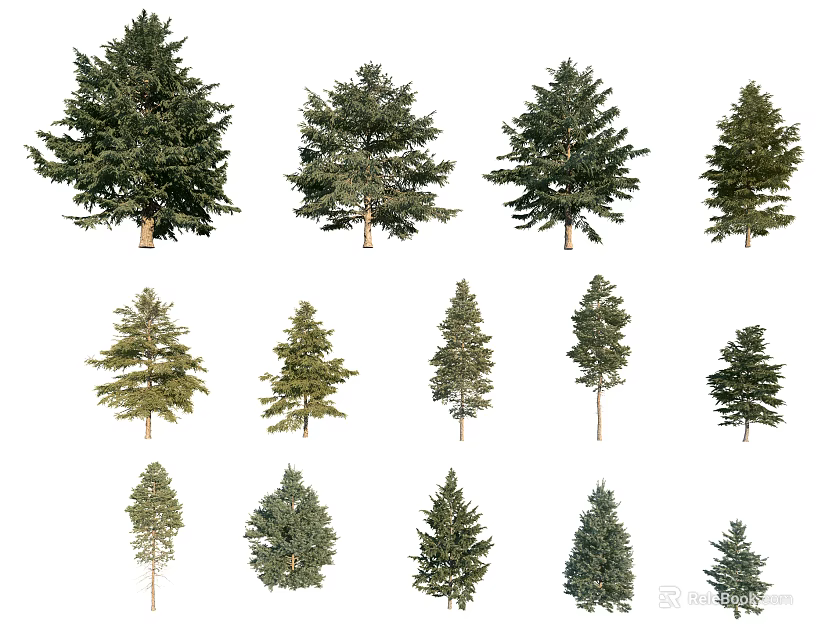 Various Types of Arbor Trees in Different Sizes Isolated on White Background 3d model 