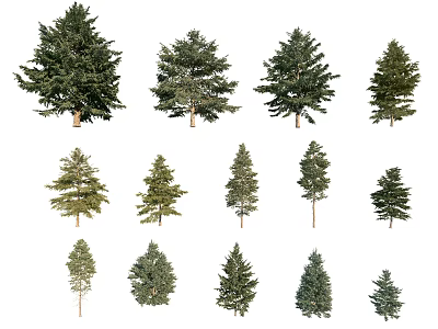 Various Types of Arbor Trees in Different Sizes Isolated on White Background 3d model
