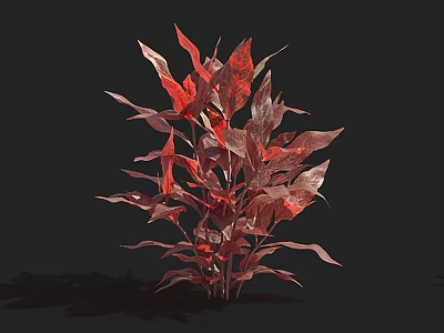 Aquatic Plant With Red and Purple Leaves Lush Foliage on Dark Background 3d model