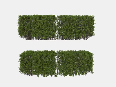 Lush Green Plant Wall With Dense Foliage For Vertical Garden Decor 3d model