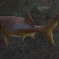 Realistic 3D Model Prehistoric Aquatic Fish With Open Mouth Sharp Teeth Brownish Red Swimming Pose