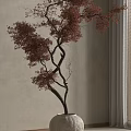 Red Leaf Bonsai with Twisted Trunk in White Stone Pot and Wooden Blinds