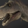 Tyrannosaurus Rex Reptile Head Closeup Open Mouth Sharp Teeth Yellow Eyes Rough Skin Texture