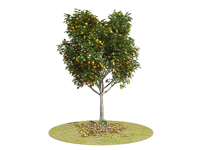Modern Fruit Trees 3d model