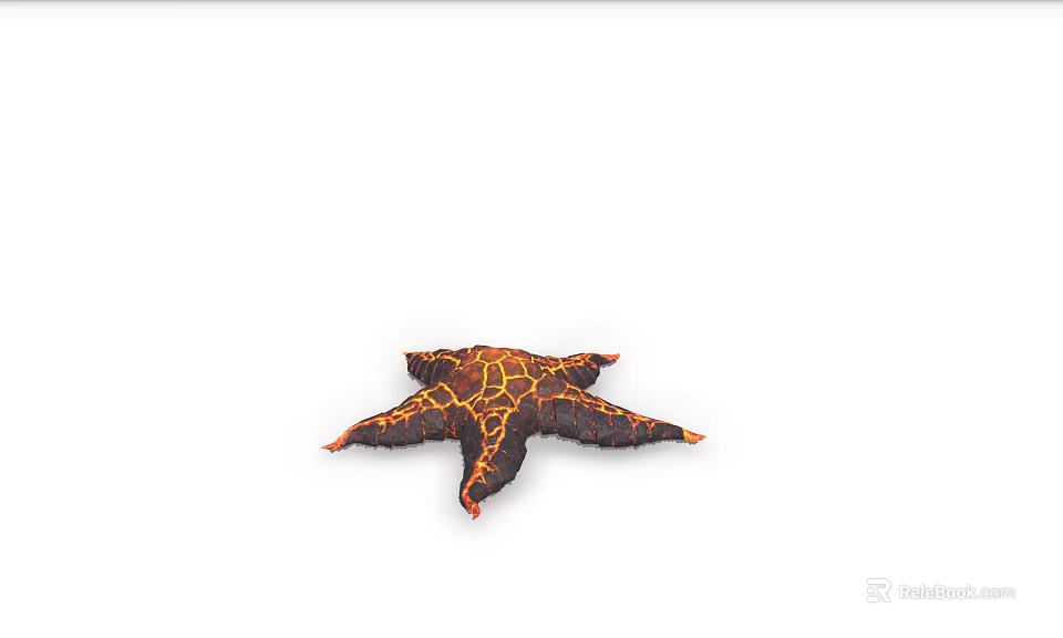 Vibrant Orange Black Patterned Starfish Aquatic Animal With Detailed Texture On White 3d model 