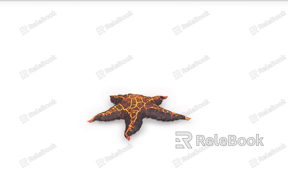 starfish marine life model