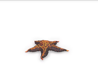 Vibrant Orange Black Patterned Starfish Aquatic Animal With Detailed Texture On White 3d model