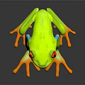 Frog Frog Frog Poison Frog Game Frog Reptile Cold Blooded Animal Reptile Reptile 3d model