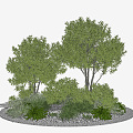 Modern plant outdoor greening plant flower bed plant pile shrub combination flower and grass shrub plant flower bed plant pile combination 3d model