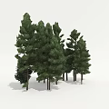 Decorative Ornament Set Featuring Green Pine Trees For Home Decor