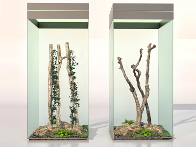 Decorative Ornament Set With Transparent Display Cases Natural Branches Green Vines And Pebble Base 3d model