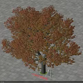 Large Deciduous Tree With Brown Foliage On Gray Paved Outdoor Ground 3d model