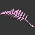 Lush Green Fern Leaf with Visible Veins and Branches Against Dark Background
