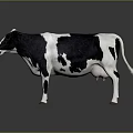 Black And White Cow Standing On Reflective Surface With Gray Background 3d model