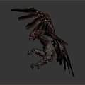 Modern Eagle Large Eagle Raptor 3d model