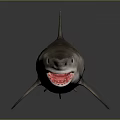 Realistic 3D Shark Model With Open Mouth Sharp Teeth Detailed Texture And Reflection 3d model